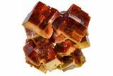 Large, Red & Tan Vanadinite Crystal Cluster - Morocco #116759-1